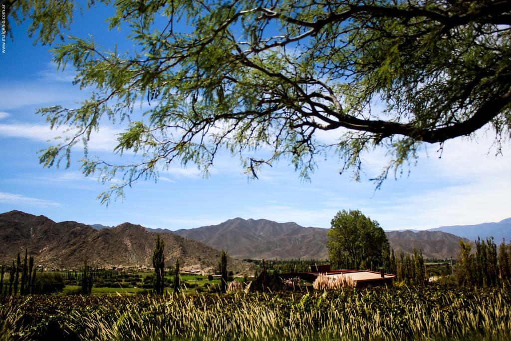 Miraluna Bodega Boutique Villa Cachí Exterior foto