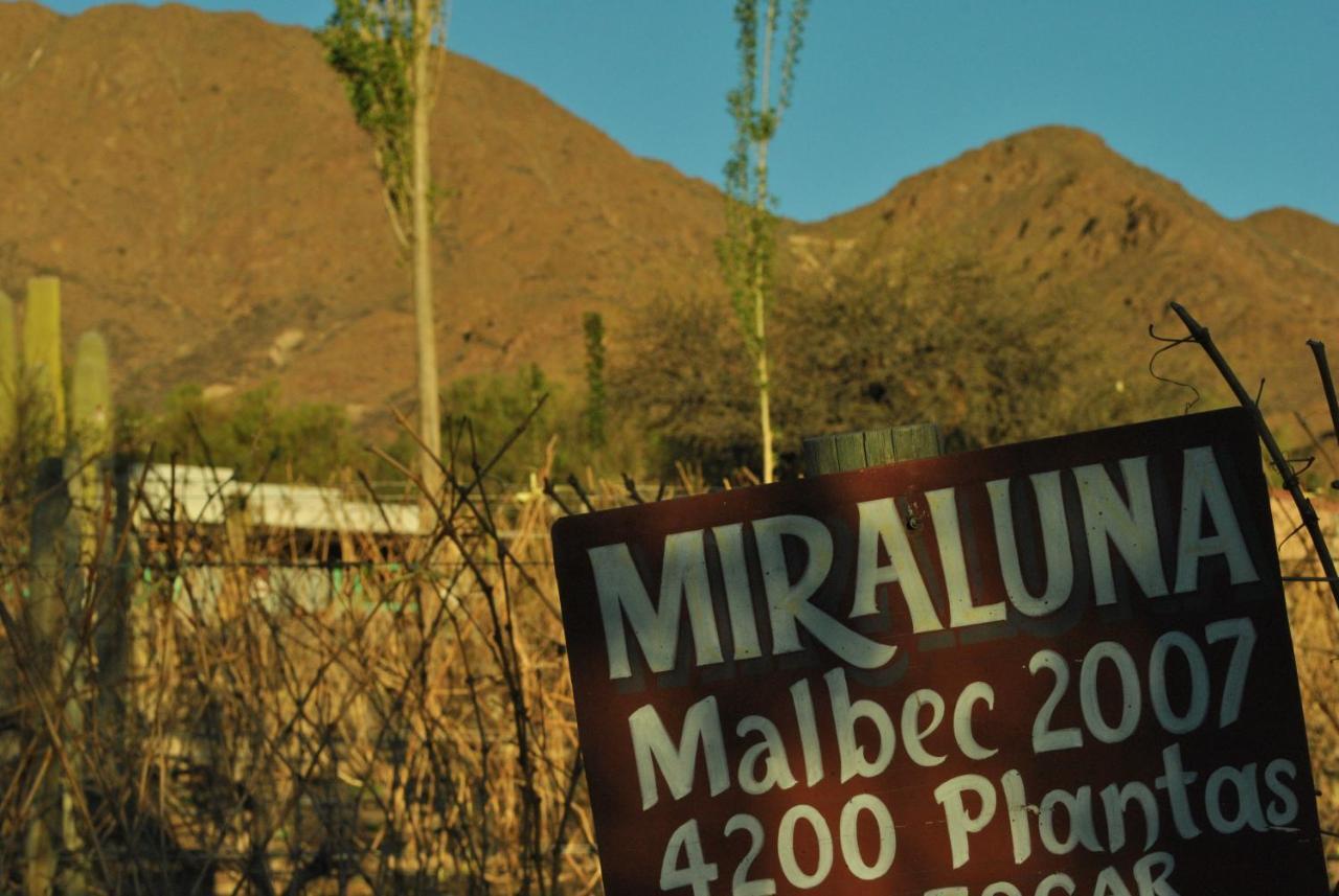 Miraluna Bodega Boutique Villa Cachí Exterior foto